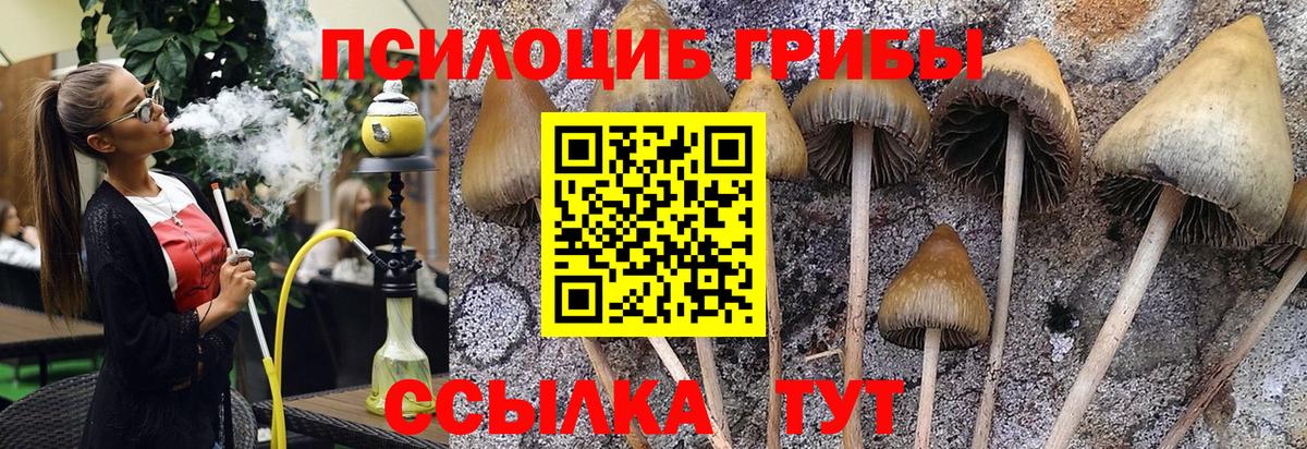 Псилоцибиновые грибы GOLDEN TEACHER Лосино-Петровский