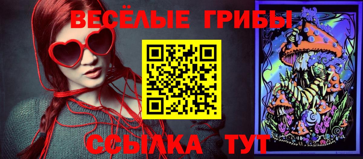 Псилоцибиновые грибы Cubensis  Вход с VPN  даркнет сайт  Галлюциногенные грибы Psilocybe  Лосино-Петровский 